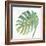 Tropical Palm IV-Chris Paschke-Framed Art Print