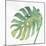 Tropical Palm IV-Chris Paschke-Mounted Art Print