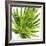 Tropical Palm IV-Melonie Miller-Framed Art Print