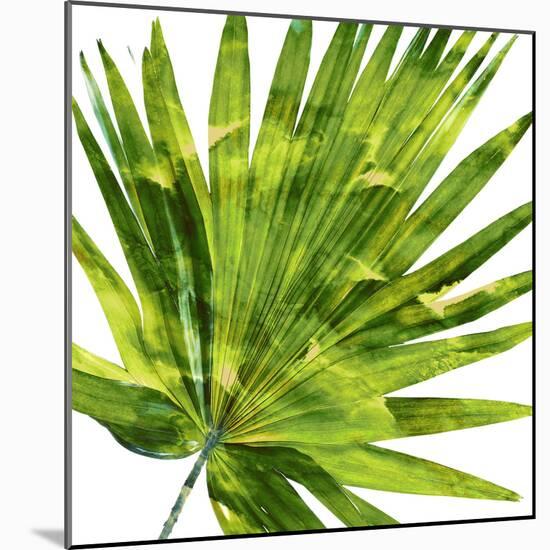 Tropical Palm IV-Melonie Miller-Mounted Art Print