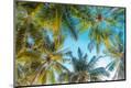 Premium Photographic Print