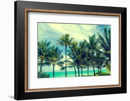 Tropical Palm Trees on the Miami Beach near the Ocean, Florida, Usa, Retro Styled-EllenSmile-Framed Photographic Print