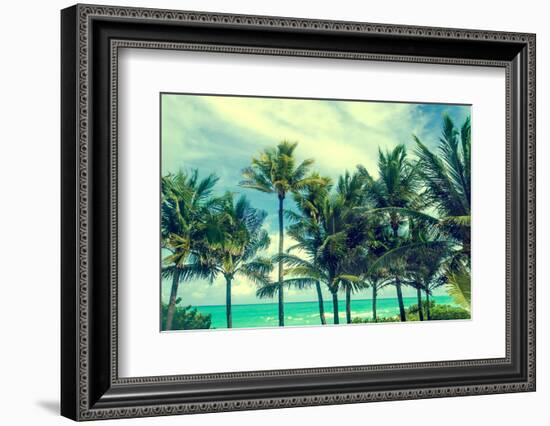 Tropical Palm Trees on the Miami Beach near the Ocean, Florida, Usa, Retro Styled-EllenSmile-Framed Photographic Print