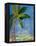 Tropical Palms II-Robin Maria-Framed Stretched Canvas