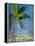 Tropical Palms II-Robin Maria-Framed Stretched Canvas