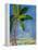 Tropical Palms II-Robin Maria-Framed Stretched Canvas