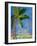 Tropical Palms II-Robin Maria-Framed Art Print