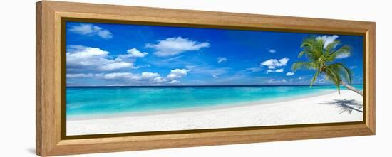 Tropical Paradise Beach with White Sand and Coco Palms Travel Tourism Wide Panorama Background Conc-stockphoto-graf-Framed Premier Image Canvas