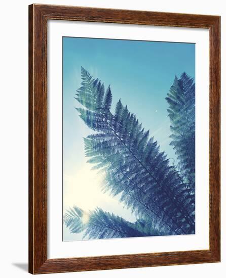 Tropical Paradise II-Ella Lancaster-Framed Giclee Print