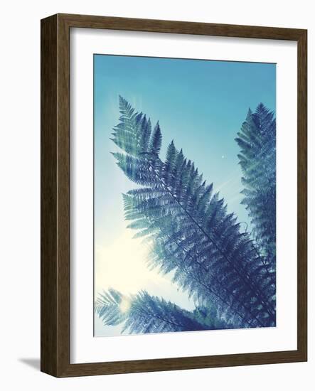 Tropical Paradise II-Ella Lancaster-Framed Giclee Print