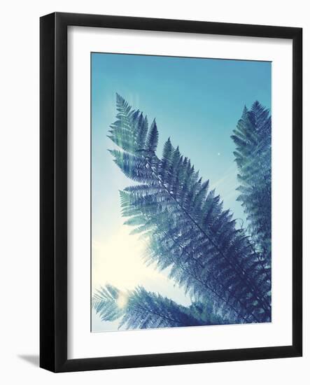 Tropical Paradise II-Ella Lancaster-Framed Giclee Print