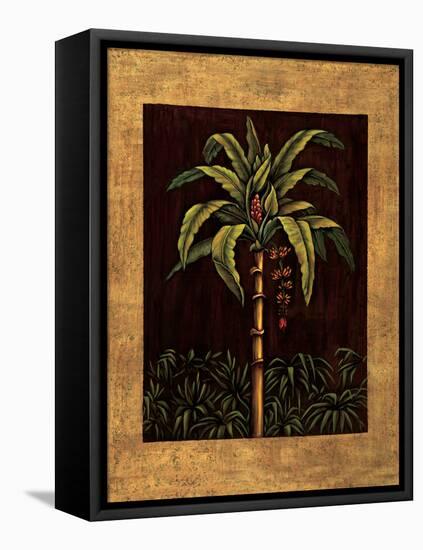 Tropical Paradise II-Samuel Blanco-Framed Stretched Canvas