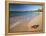 Tropical Paradise, Tabyana Beach, Roatan, Honduras-Stuart Westmorland-Framed Premier Image Canvas