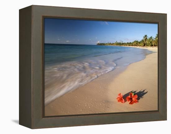 Tropical Paradise, Tabyana Beach, Roatan, Honduras-Stuart Westmorland-Framed Premier Image Canvas