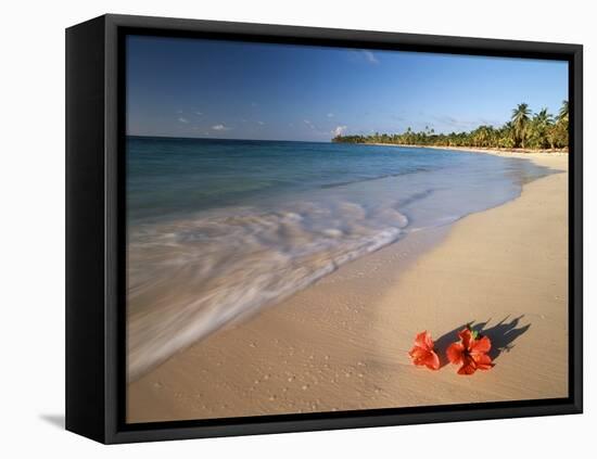 Tropical Paradise, Tabyana Beach, Roatan, Honduras-Stuart Westmorland-Framed Premier Image Canvas