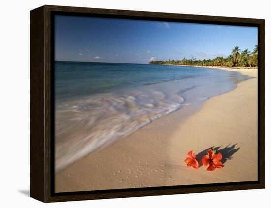 Tropical Paradise, Tabyana Beach, Roatan, Honduras-Stuart Westmorland-Framed Premier Image Canvas