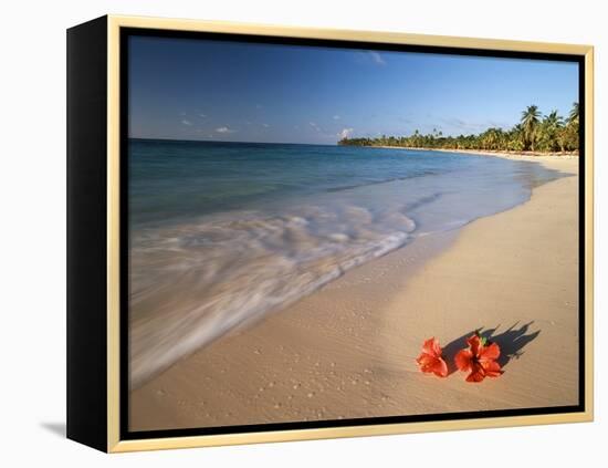 Tropical Paradise, Tabyana Beach, Roatan, Honduras-Stuart Westmorland-Framed Premier Image Canvas