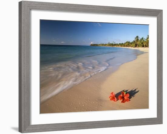 Tropical Paradise, Tabyana Beach, Roatan, Honduras-Stuart Westmorland-Framed Photographic Print