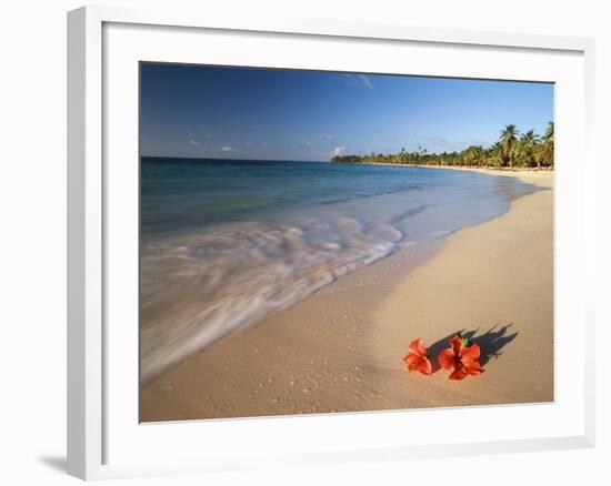 Tropical Paradise, Tabyana Beach, Roatan, Honduras-Stuart Westmorland-Framed Photographic Print