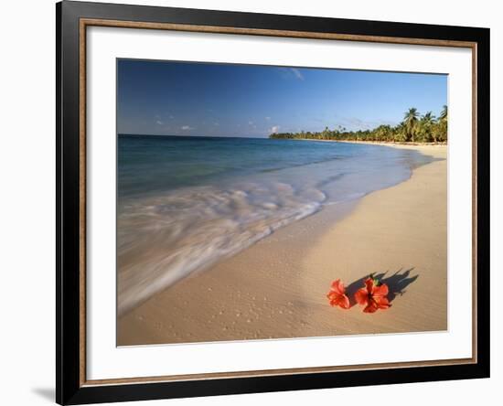 Tropical Paradise, Tabyana Beach, Roatan, Honduras-Stuart Westmorland-Framed Photographic Print