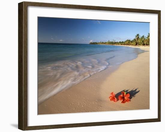 Tropical Paradise, Tabyana Beach, Roatan, Honduras-Stuart Westmorland-Framed Photographic Print