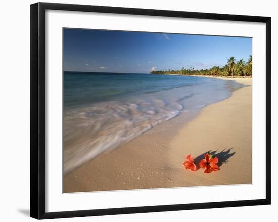 Tropical Paradise, Tabyana Beach, Roatan, Honduras-Stuart Westmorland-Framed Photographic Print