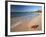 Tropical Paradise, Tabyana Beach, Roatan, Honduras-Stuart Westmorland-Framed Photographic Print