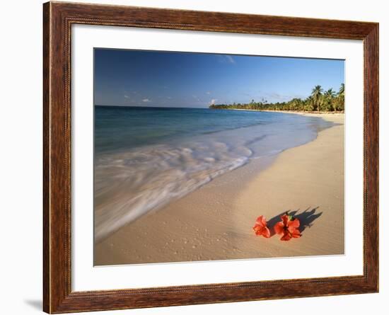 Tropical Paradise, Tabyana Beach, Roatan, Honduras-Stuart Westmorland-Framed Photographic Print