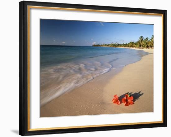 Tropical Paradise, Tabyana Beach, Roatan, Honduras-Stuart Westmorland-Framed Photographic Print