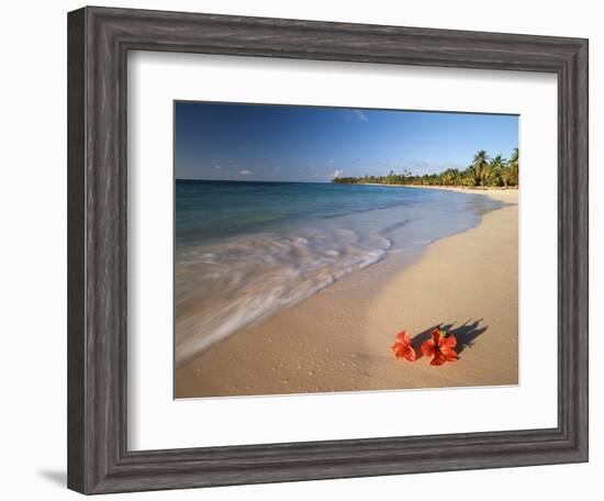 Tropical Paradise, Tabyana Beach, Roatan, Honduras-Stuart Westmorland-Framed Photographic Print