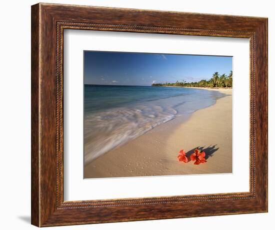 Tropical Paradise, Tabyana Beach, Roatan, Honduras-Stuart Westmorland-Framed Photographic Print