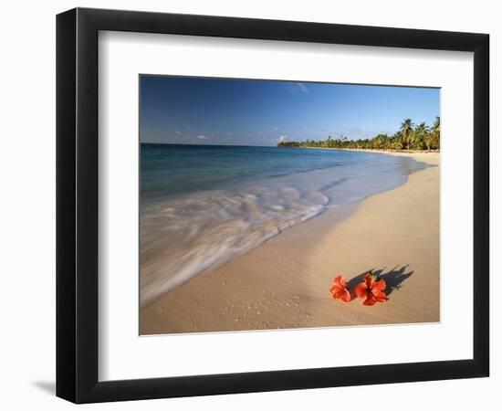 Tropical Paradise, Tabyana Beach, Roatan, Honduras-Stuart Westmorland-Framed Photographic Print