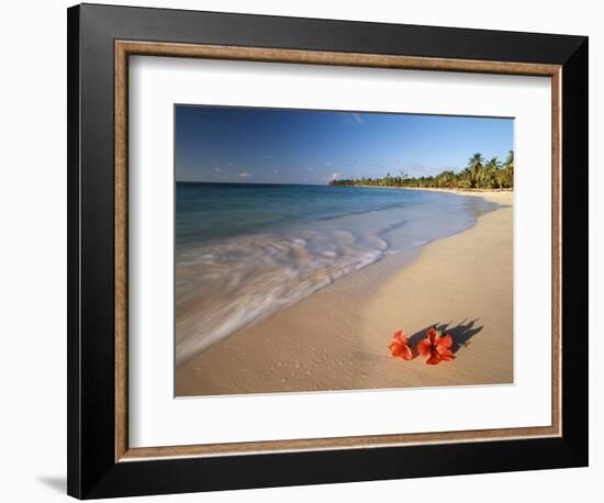 Tropical Paradise, Tabyana Beach, Roatan, Honduras-Stuart Westmorland-Framed Photographic Print