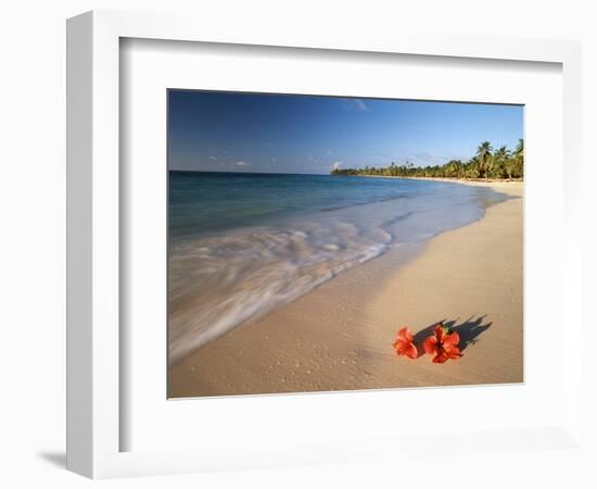 Tropical Paradise, Tabyana Beach, Roatan, Honduras-Stuart Westmorland-Framed Photographic Print