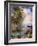 Tropical Paradise-Mary Dulon-Framed Premium Giclee Print