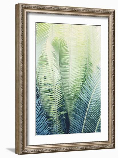 Tropical Park-Irene Suchocki-Framed Giclee Print