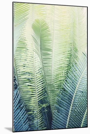Tropical Park-Irene Suchocki-Mounted Giclee Print