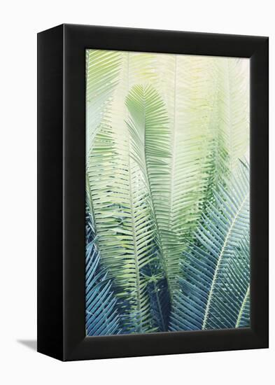 Tropical Park-Irene Suchocki-Framed Stretched Canvas
