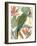 Tropical Parrot Composition I-Annie Warren-Framed Art Print