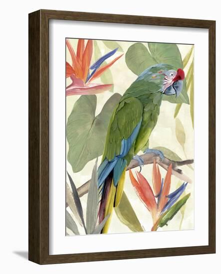 Tropical Parrot Composition I-Annie Warren-Framed Art Print