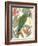 Tropical Parrot Composition I-Annie Warren-Framed Art Print