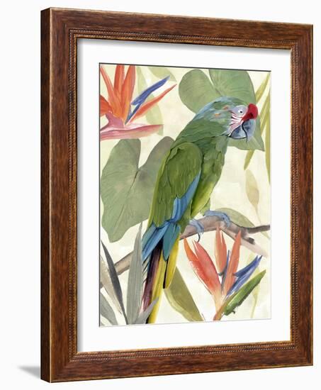 Tropical Parrot Composition I-Annie Warren-Framed Art Print