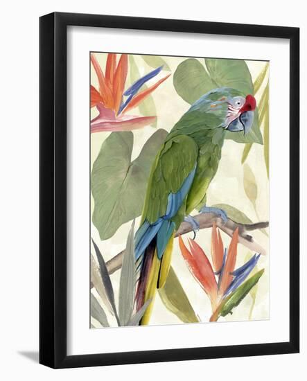 Tropical Parrot Composition I-Annie Warren-Framed Art Print