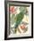 Tropical Parrot Composition I-Annie Warren-Framed Art Print