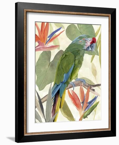 Tropical Parrot Composition I-Annie Warren-Framed Art Print