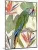 Tropical Parrot Composition I-Annie Warren-Mounted Art Print