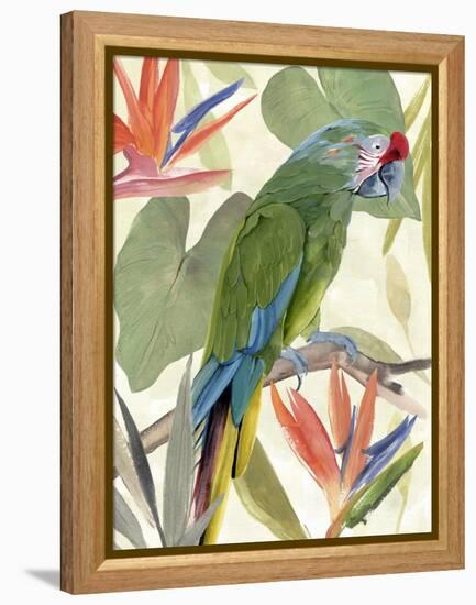 Tropical Parrot Composition I-Annie Warren-Framed Stretched Canvas