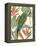 Tropical Parrot Composition I-Annie Warren-Framed Stretched Canvas