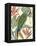 Tropical Parrot Composition I-Annie Warren-Framed Stretched Canvas