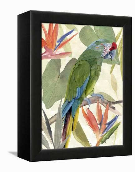 Tropical Parrot Composition I-Annie Warren-Framed Stretched Canvas